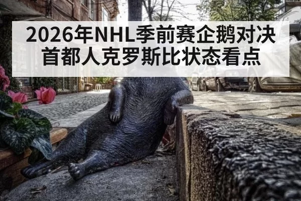 2026年NHL季前赛企鹅对决首都人克罗斯比状态看点